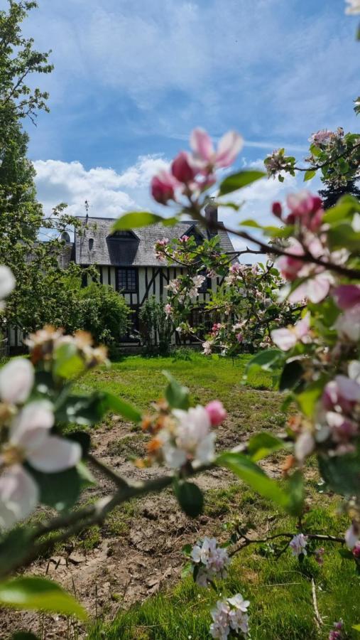 La Villa Qui A Du Chien Neuville-sur-Touques Exteriör bild